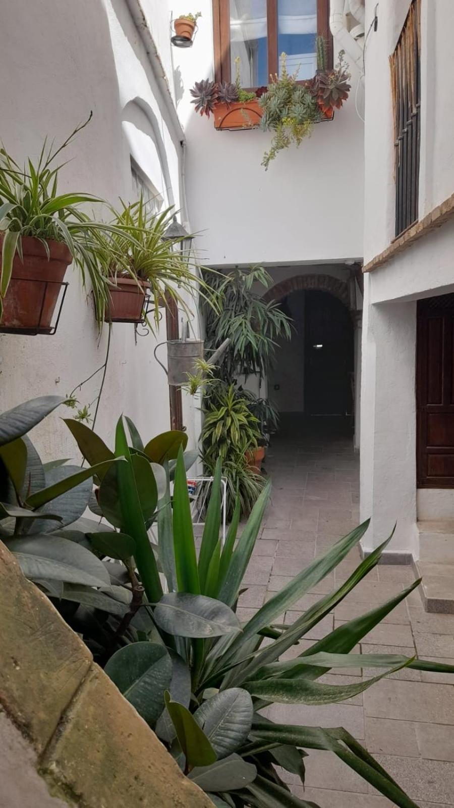 Apartamento En El Casco Historico ตาริฟา ภายนอก รูปภาพ